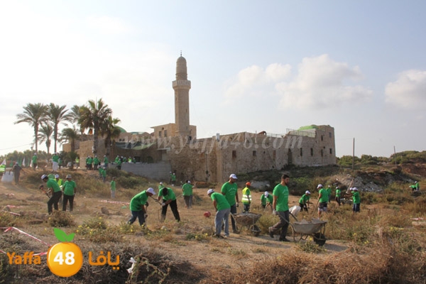 haram qarya mo3skar (1).JPG